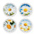 Shasta Daisy Round Address Labels (4 Designs)