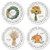 Harvest Notes Round Address Labels (4 Designs)-1