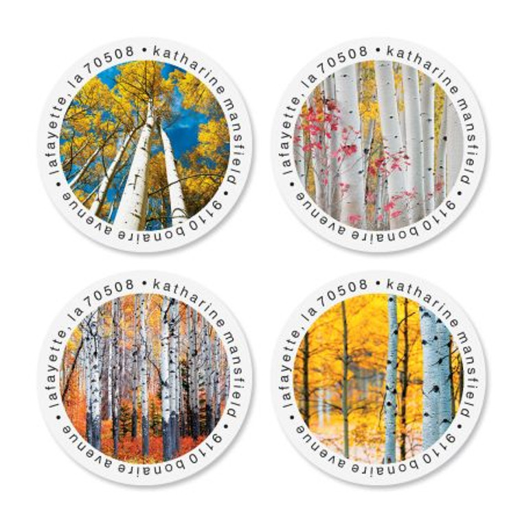 Autumn Aspens Round Address Labels (4 Designs)