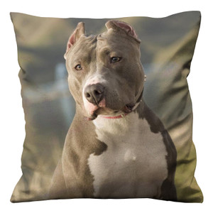 AMERICAN PIT BULL Cushion Case Cover