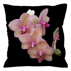 GOLD OF KINABALU ORCHID Cushion Case Cover GOLD OF KINABALU ORCHID Cushion Case Cover