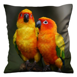 PARROT SUN CONURE BIRD 2 Cushion Case Cover PARROT SUN CONURE BIRD 2 Cushion Case Cover