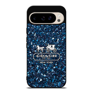 COACH NEW YORK BLUE STONE 946 Google Pixel 9 Pro Case