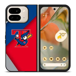 TORONTO BLUE JAYS BIRDS Google Pixel 9 Pro Fold Case