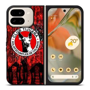 XOLOS TIJUANA ART Google Pixel 9 Pro Fold Case