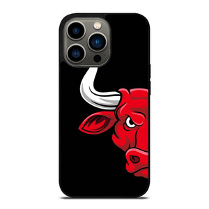 CHICAGO BULLS FACE LOGO iPhone 13 Pro Case