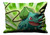 BULBASAUR POKEMON Pillow Case Cover Recta BULBASAUR POKEMON Pillow Case Cover Recta