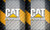 CATERPILLAR IRONE PLATE Men Wallet