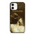 TAYLOR SWIFT FEARLESS iPhone 12 Case