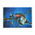 DISNEY NEMO TURTLE MOVIE Jigsaw Puzzle 95 252 500 1000 Pieces