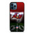 TAMPA BAY BUCCANEERS NFL FIELD iPhone 12 Pro Max Case
