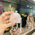 FISH IN PLASTIC BAG Airpods Case Cover
