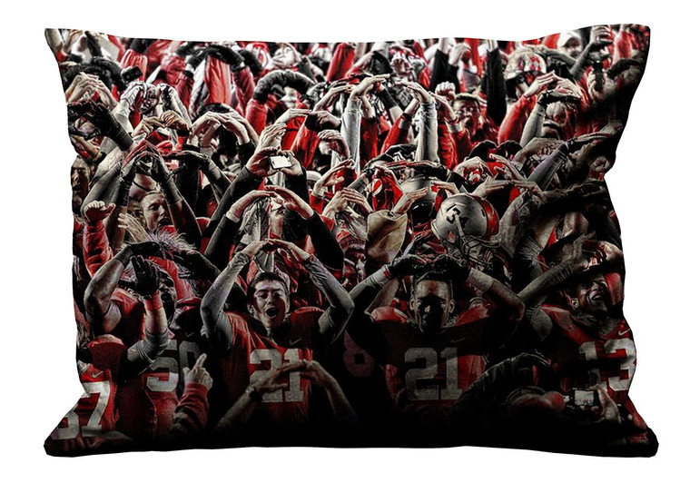 OHIO STATE FOOTBALL 2 Pillow Case Cover Recta