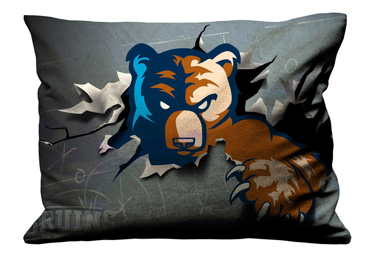 NEW CUSTOM BOSTON BRUINS HOCKEY Pillow Case Cover Recta