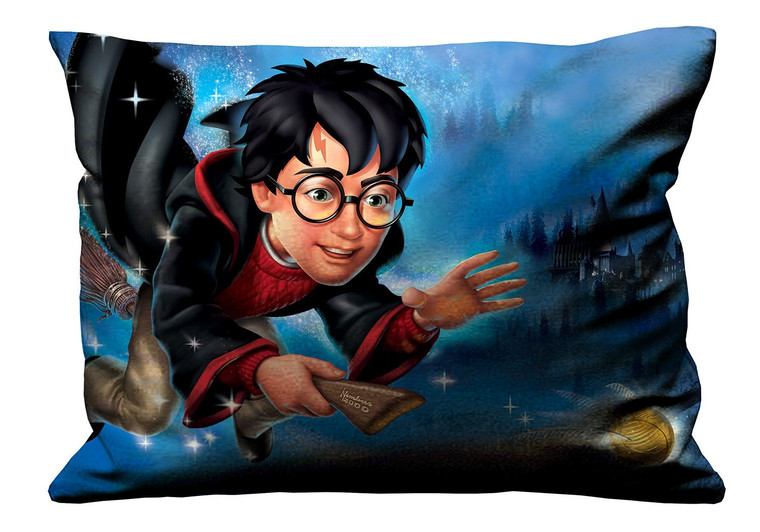 HARRY POTTER CARTOON Pillow Case Cover Recta