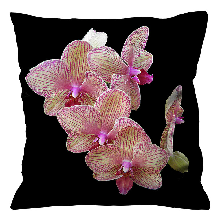 GOLD OF KINABALU ORCHID Cushion Case Cover GOLD OF KINABALU ORCHID Cushion Case Cover
