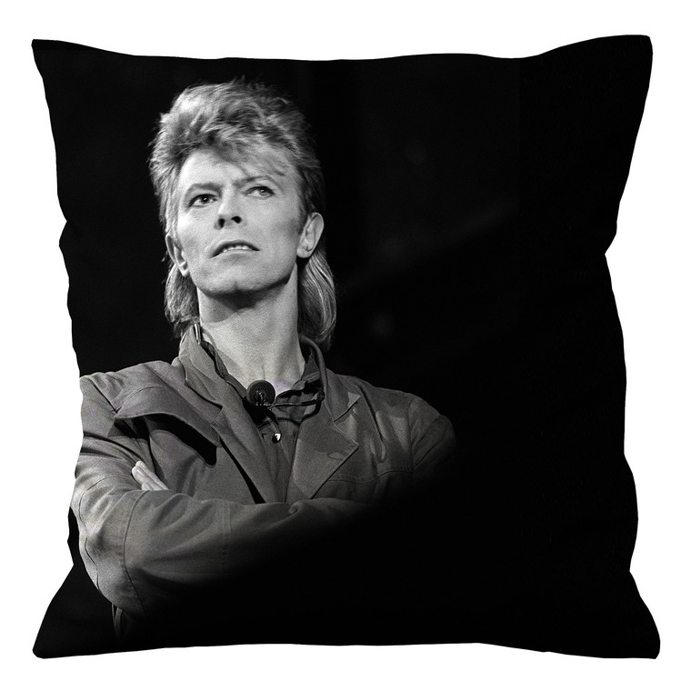 HOT DAVID BOWIE Cushion Case Cover