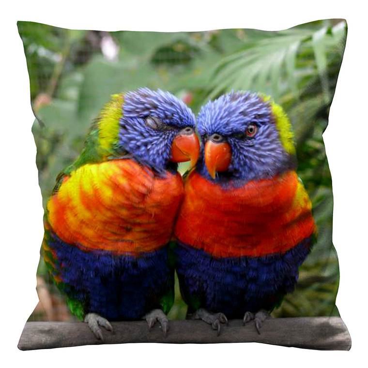 PARROT RAINBOW LORIKEET BIRD Cushion Case Cover PARROT RAINBOW LORIKEET BIRD Cushion Case Cover