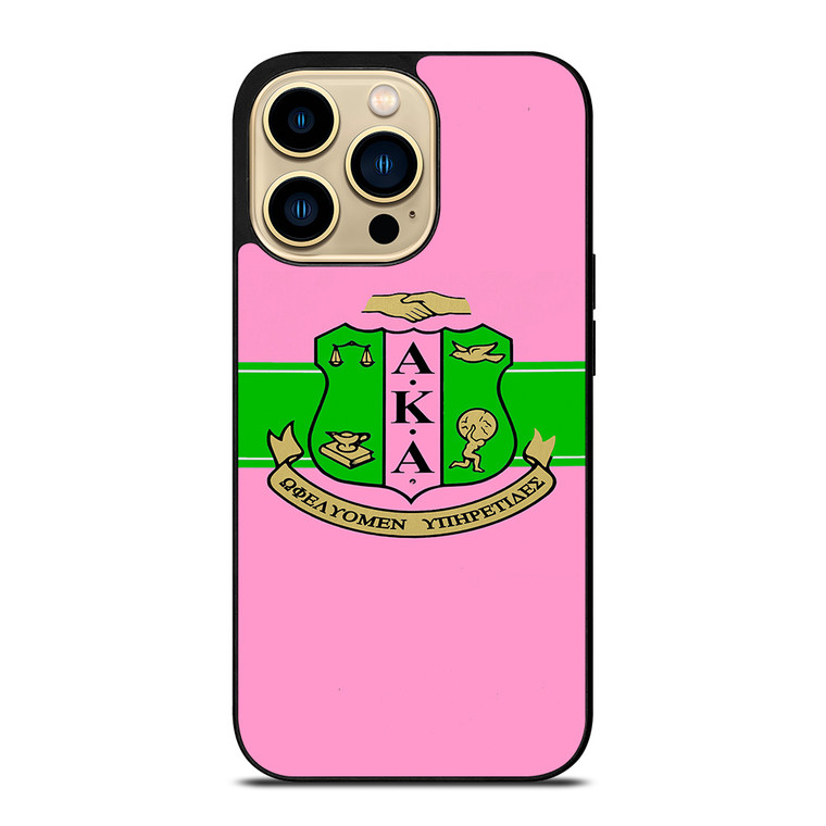 AKA PINK AND GREEN iPhone 14 Pro Max Case