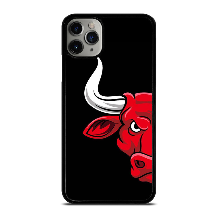 CHICAGO BULLS FACE LOGO iPhone 11 Pro Max Case