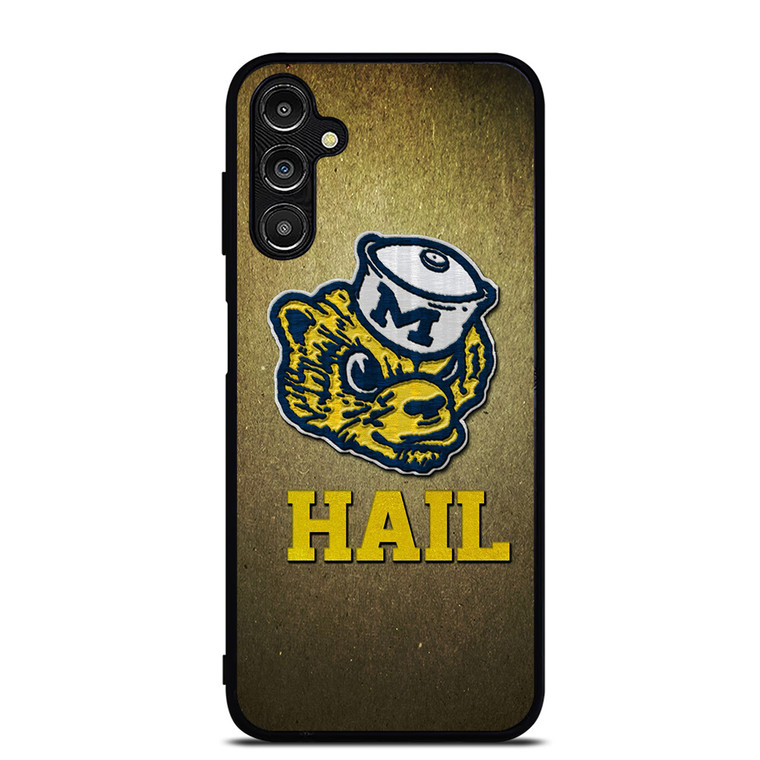 MICHIGAN WOLVERINES HAIL Samsung Galaxy A14 Case