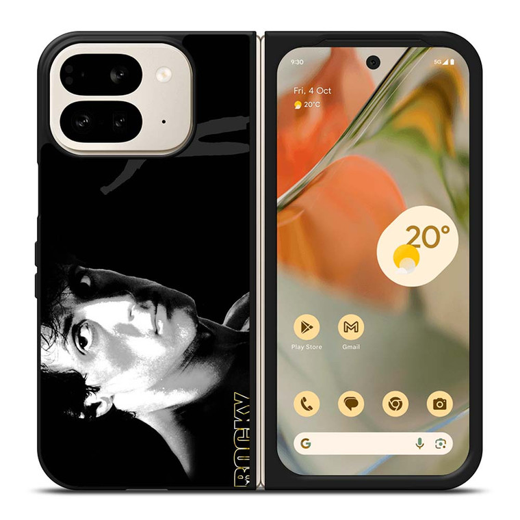 ROCKY BALBOA ART Google Pixel 9 Pro Fold Case
