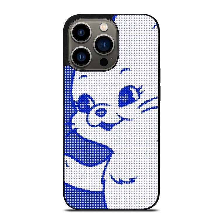 NEWJEANS POP POSTERS iPhone 13 Pro Case