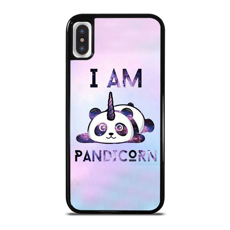 PANDACORN NEBULA iPhone X / XS Case