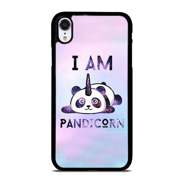 PANDACORN NEBULA iPhone XR Case