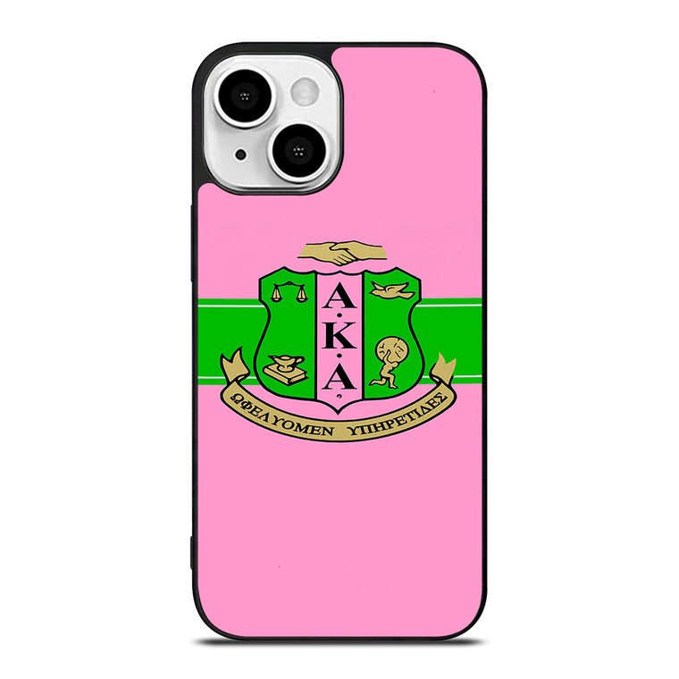AKA PINK AND GREEN iPhone 13 Mini Case