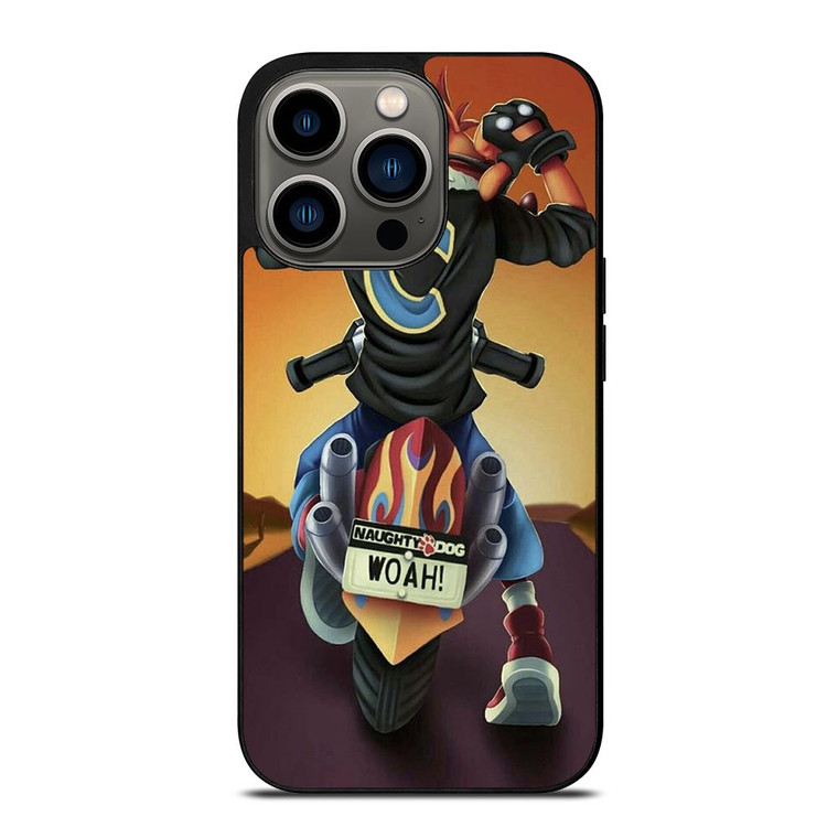 CRASH BANDICOOT FAN ART iPhone 13 Pro Case