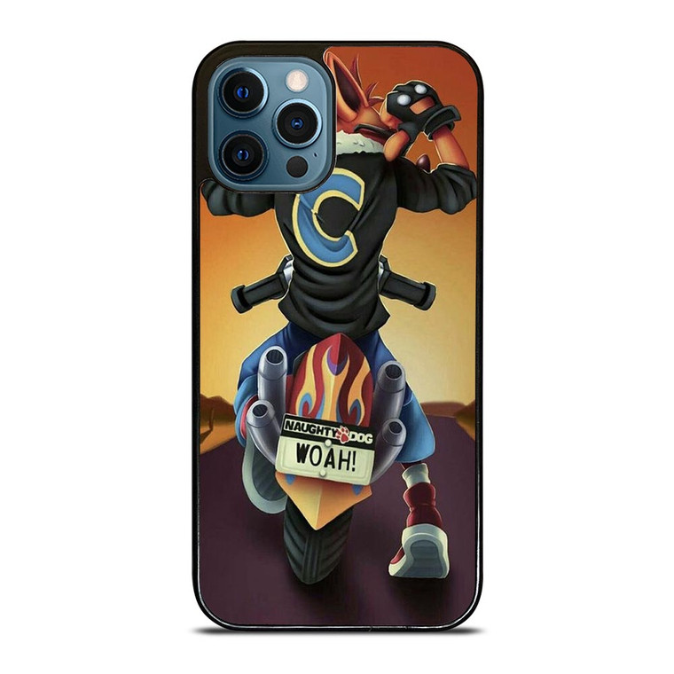 CRASH BANDICOOT FAN ART iPhone 12 Pro Max Case