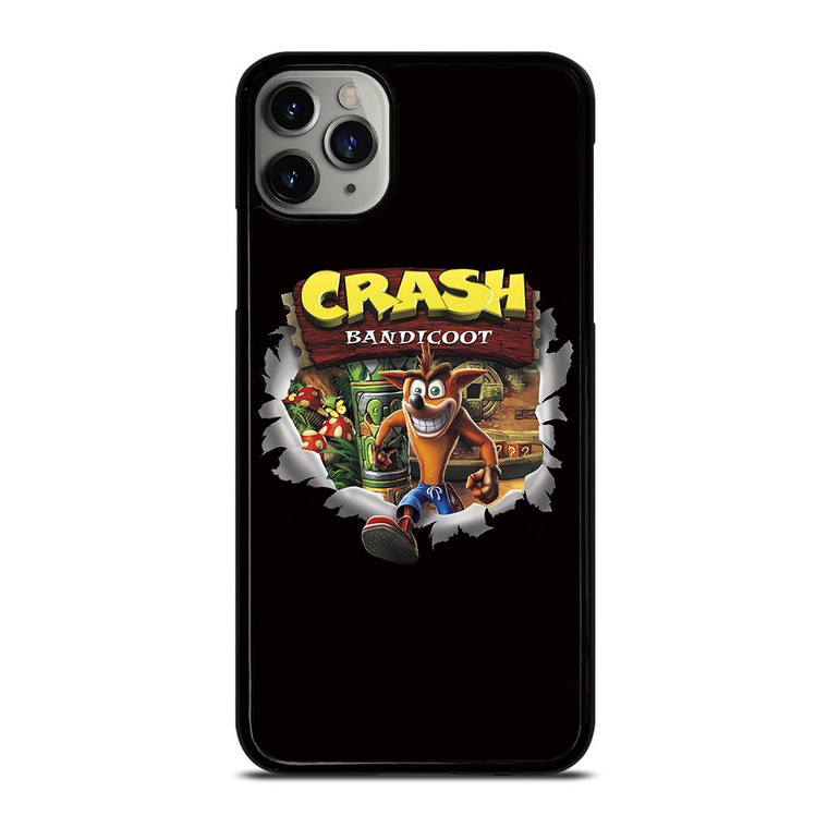 CRASH BANDICOOT CARTOON iPhone 11 Pro Max Case