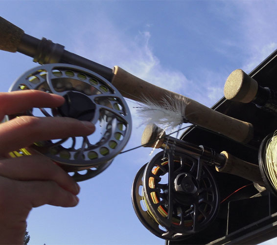 Rod & Reel Selector