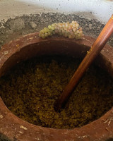 Amphora fermentation