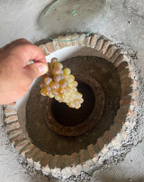 Amphora fermentation