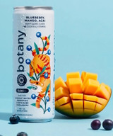 Collective Arts Botany Balance Adaptogenic Elixir: Blueberry, Mango & Acai 355mL ABV 0.0% | Canada Craft Drink