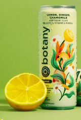 Collective Arts Botany Unwind Adaptogenic Elixir: Lemon, Ginger & Chamomile 355mL ABV 0.0% | Canada Craft Drink