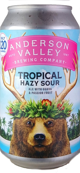 Anderson Valley Tropical Hazy Sour Ale 355mL ABV 4.2% | USA Craft Beer