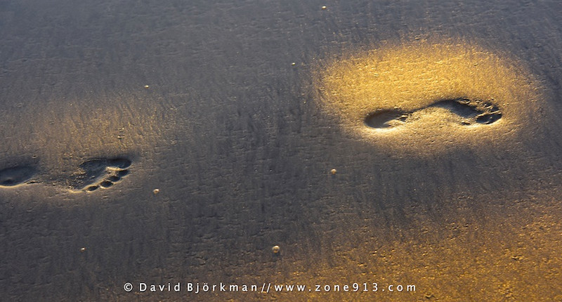 Footprints in the Sand