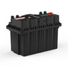 Pylontech - RT12100G31 - Back Angle