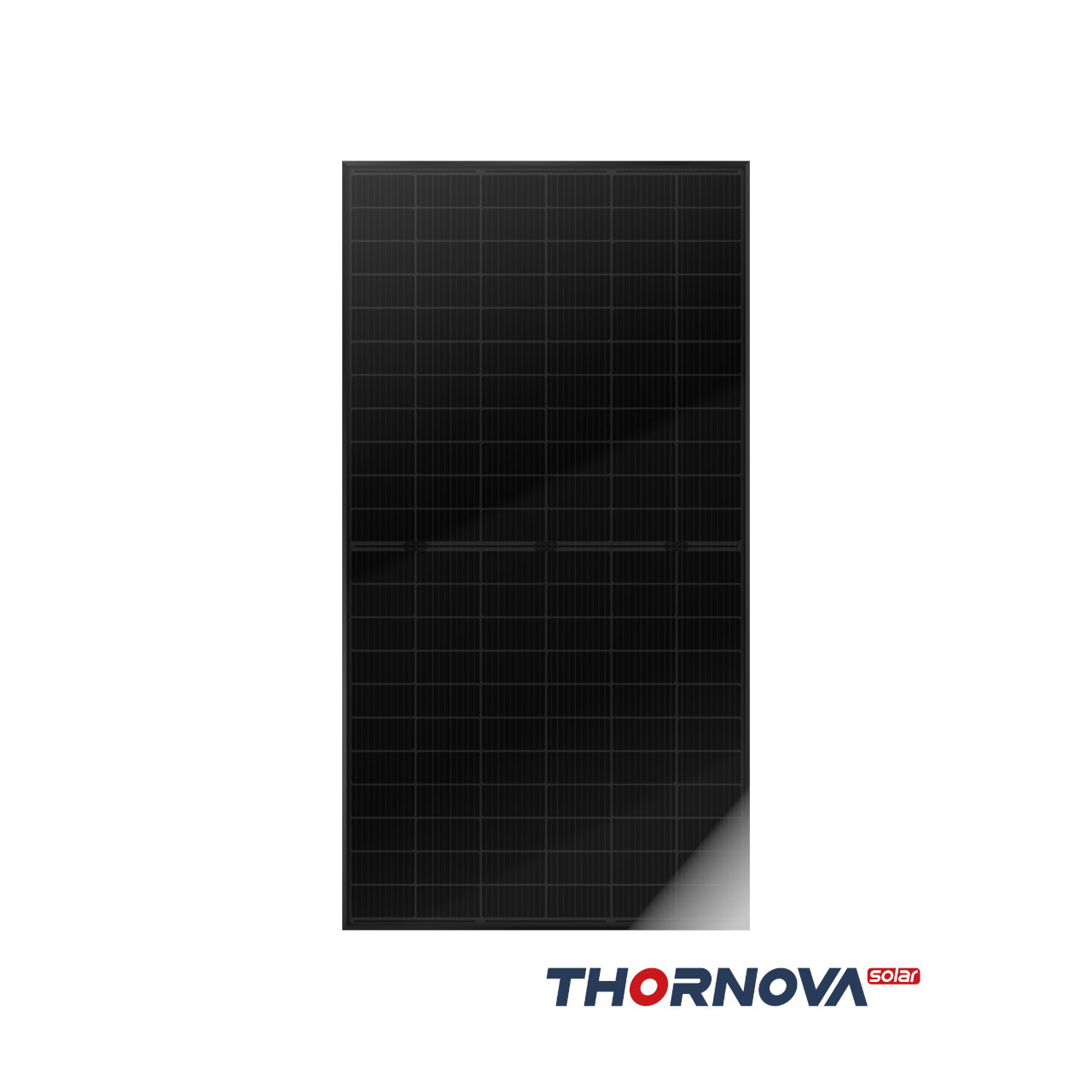 Thornova - TS-BB66