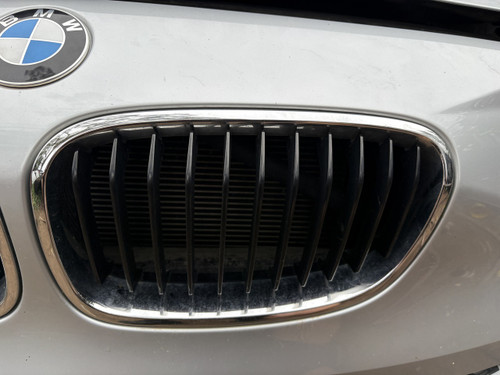 BMW F20 2011-2015 USED LH GRILLE