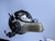 VW PASSAT 3C USED BRAKE BOOSTER 3C2 614 105 AJ