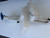 VW PASSAT USED WASHER BOTTLE 3C0 955 453