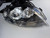 AUDI A4 B7 USED RH CLEAR BLINKER TYPE HEADLIGHT 8E0 941 004 BL