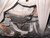 BMW 120I MANUAL USED DIFFERENTIAL 3.73 RATIO