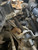 VW GOLF MK5 JETTA MK5 2L FSI USED 6 SPEED MANUAL GEARBOX JCP CODE TRAVELLED 99000 KM