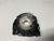 VW GOLF JETTA TIGUAN USED STEERING CLOCK SPRING 5K0.953.569.C