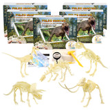 Paleo Hunter Dig Kit for STEAM Education - All Five Dinosaurs